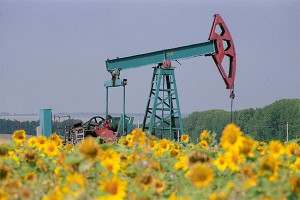 Нефти пообещали падение до 30 долларов Нефти пообещали падение до 30 долларов