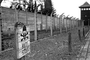 В Чехии обнаружили вещи узников концлагеря В Чехии обнаружили вещи узников концлагеря