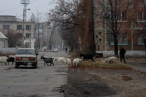 В Донбасс хотят отправить стройбаты В Донбасс хотят отправить стройбаты