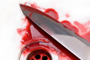 Австралия в шоке от убийства восьми детей Австралия в шоке от убийства восьми детей