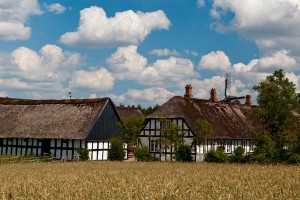 Датские фермеры на грани разорения Датские фермеры на грани разорения