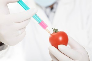 Россиян избавили от импортных ГМО Россиян избавили от импортных ГМО