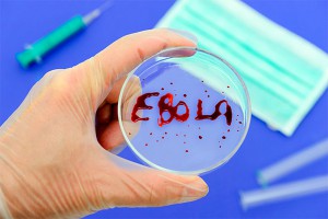 Ученые обвинили МВФ в эпидемии Эболы Ученые обвинили МВФ в эпидемии Эболы