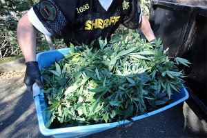 Горящий героин помешал работе репортера Горящий героин помешал работе репортера