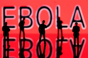 В Петербурге создали вакцину от Эболы В Петербурге создали вакцину от Эболы