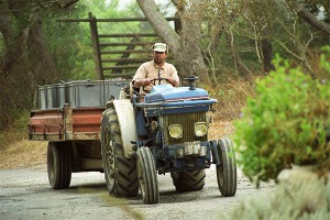 Санкции лишили французских фермеров зарплат Санкции лишили французских фермеров зарплат