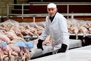 Россия запретила мясо птицы из Италии Россия запретила мясо птицы из Италии