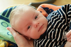 Крым готовится к демографическому взрыву Крым готовится к демографическому взрыву