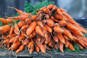 Морковь подорожала до 2400 рублей Морковь подорожала до 2400 рублей