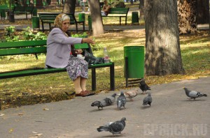 В Брянске может появиться Парк поколений