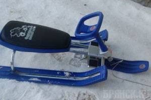 Во время колядования брянские подростки украли два снегохода