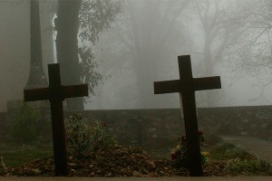 Украинским военным роют могилы впрок Украинским военным роют могилы впрок