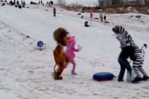 Лунтик и зебра Мартин избили хулигана Лунтик и зебра Мартин избили хулигана