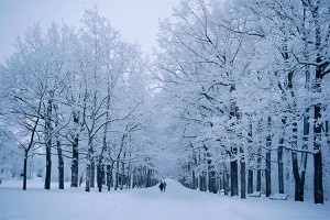 По москвичам ударил скандинавский антициклон По москвичам ударил скандинавский антициклон