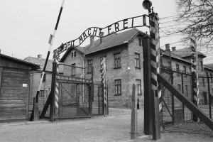 Чуркин дал полякам урок истории Чуркин дал полякам урок истории