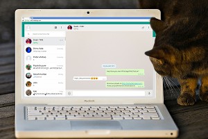 WhatsApp оставил iPhone без веб-чата WhatsApp оставил iPhone без веб-чата
