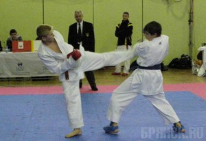 Брянские каратисты получили пять медалей на соревнованиях ЦФО