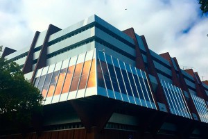 Чем кормят европейских демократов Чем кормят европейских демократов