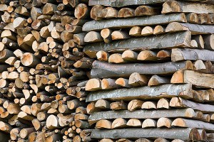 В Эстонии решили заменить газ дровами В Эстонии решили заменить газ дровами