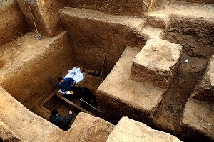 Ученые нашли новый вид древнего человека Ученые нашли новый вид древнего человека