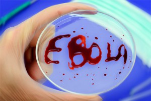 У россиянина в Приморье заподозрили Эболу У россиянина в Приморье заподозрили Эболу