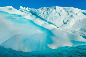 Стартовал форум "Экспедиция Арктика" Стартовал форум "Экспедиция Арктика"