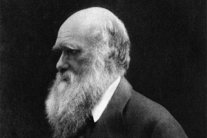 В Казахстане опровергли теорию Дарвина В Казахстане опровергли теорию Дарвина