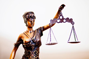 Васильевой и Навальному заказали амнистию Васильевой и Навальному заказали амнистию