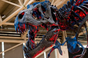 Ученые нашли в янтаре ЛСД Ученые нашли в янтаре ЛСД