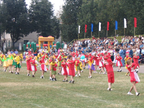 В Жуковке прошел день города