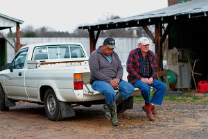 Фермеры США лишатся трети доходов Фермеры США лишатся трети доходов