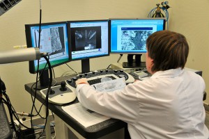 Молодым ученым вручили президентские премии Молодым ученым вручили президентские премии