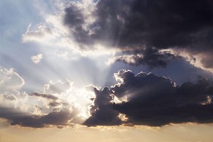 Синоптики США маскируются под Псаки Синоптики США маскируются под Псаки