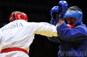 Брянские рукопашники успешно выступили на первенстве ЦФО