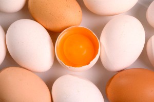 Иран завалит Россию яйцами и мясом Иран завалит Россию яйцами и мясом