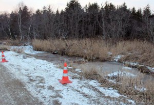 Возле трассы под Погаром найдены два трупа