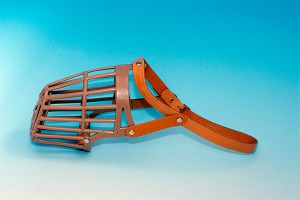 Депутат ЛДПР пришел в Госдуму с намордником Депутат ЛДПР пришел в Госдуму с намордником