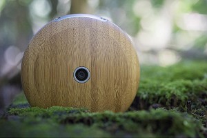 Круглый деревянный гаджет заменит смартфоны Круглый деревянный гаджет заменит смартфоны