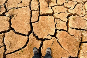 Глобальное потепление началось с России Глобальное потепление началось с России