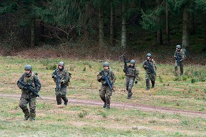 Объединенную армию Европы назвали паранойей Объединенную армию Европы назвали паранойей