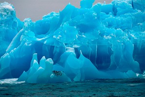 Раскрыта удивительная тайна Антарктиды Раскрыта удивительная тайна Антарктиды