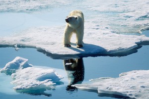 Температура на Земле опасно повышается Температура на Земле опасно повышается