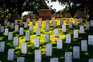 В США покойников пустят на удобрения В США покойников пустят на удобрения