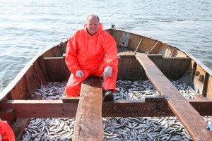 Губернатор поймал 12 тонн "социальной" рыбы Губернатор поймал 12 тонн "социальной" рыбы