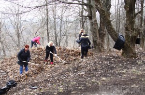 Во время субботника брянцы ликвидировали несколько свалок