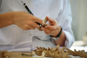 Выявлен случай древнейшего рака груди Выявлен случай древнейшего рака груди