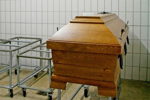 Сибирячка оставила в Домодедово груз 200 Сибирячка оставила в Домодедово груз 200