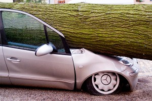 Ураган в Москве валил деревья и срывал крыши Ураган в Москве валил деревья и срывал крыши