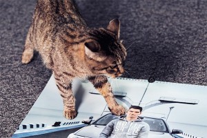 Кошку Матроску пригласили в "Пусть говорят" Кошку Матроску пригласили в "Пусть говорят"