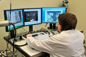 В Сибири изобретен уникальный материал В Сибири изобретен уникальный материал